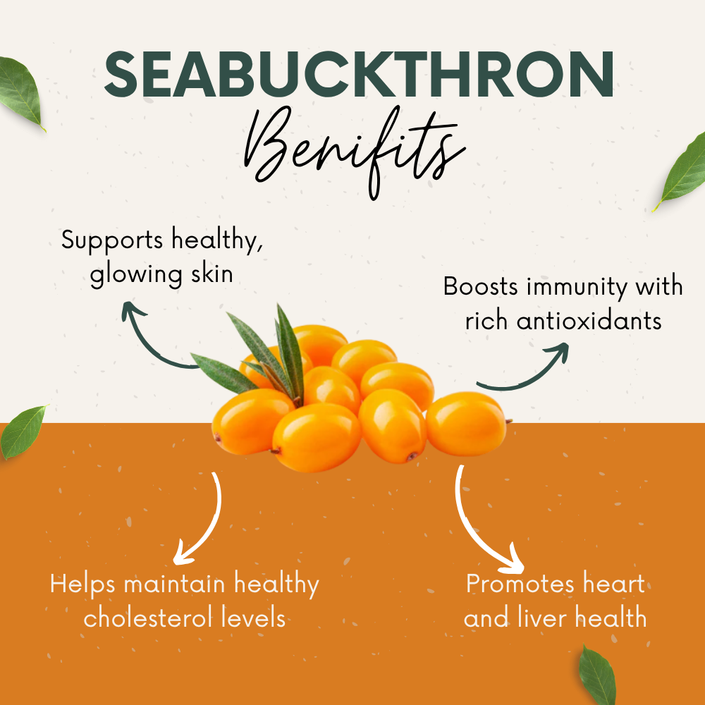 Vinamrit 100% Pure Sea Buckthorn Capsules | Omega 3, 6, 7 & 9 Rich | 60 Herbal Capsules for Daily Wellness