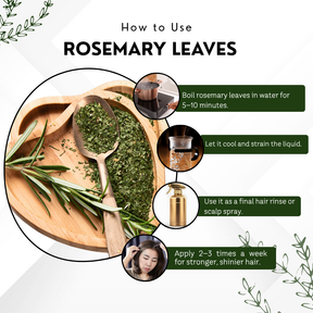 Vinamrit Rosemary Leaves | 100% Pure & Natural | Promotes Hair Growth, Strength & Scalp Health | 100g Pack | Ayurvedic Herbal Leaves for Strong & Healthy Hair