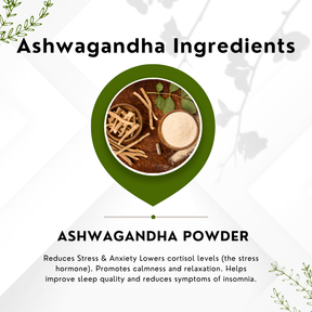 Vinamrit Ashwagandha Powder | 100% Pure & Natural Root Powder | Ayurvedic Adaptogenic Herb for Daily Wellness & Vitality | 100g Pack
