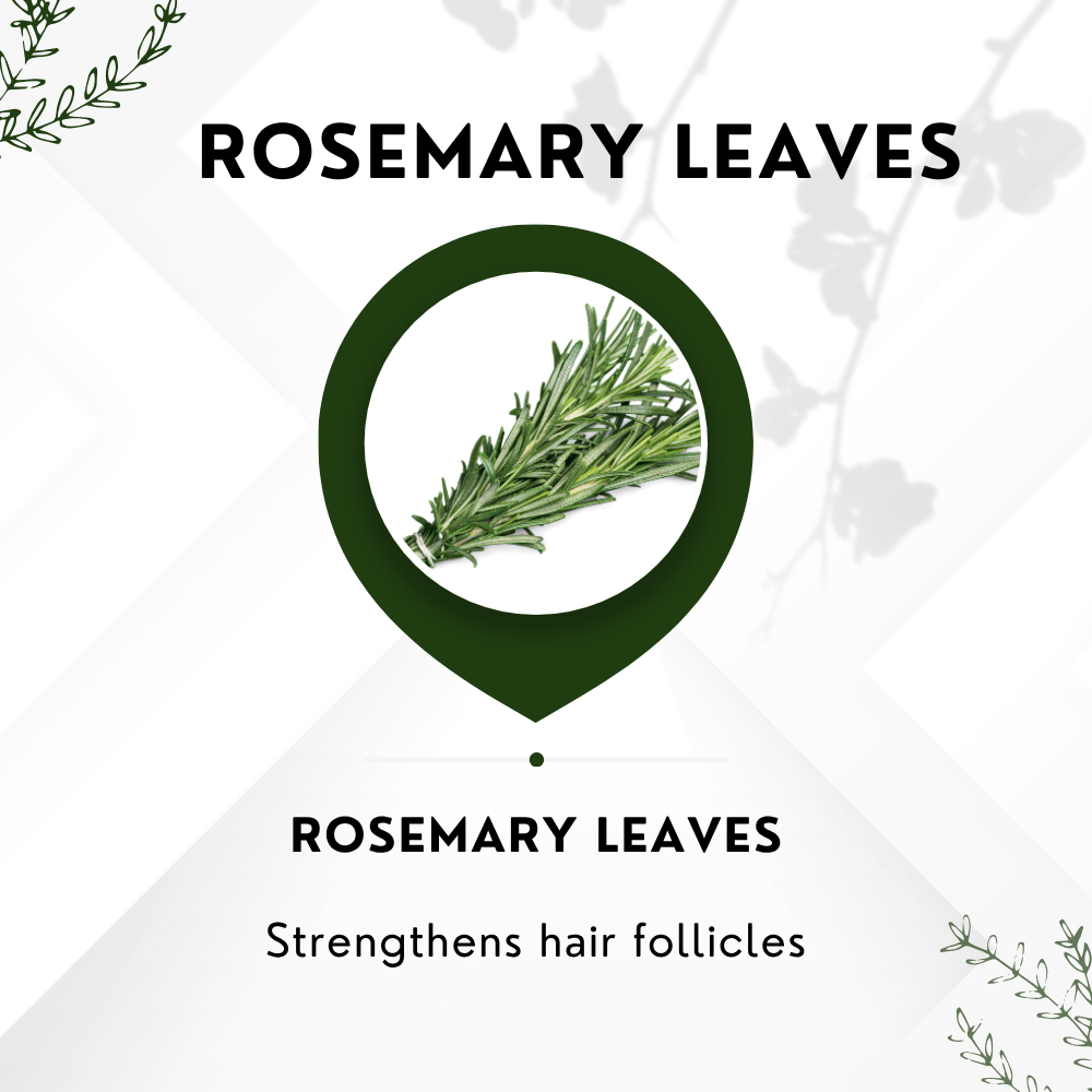 Vinamrit Rosemary Leaves | 100% Pure & Natural | Promotes Hair Growth, Strength & Scalp Health | 100g Pack | Ayurvedic Herbal Leaves for Strong & Healthy Hair