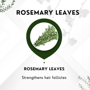 Vinamrit Rosemary Leaves | 100% Pure & Natural | Promotes Hair Growth, Strength & Scalp Health | 100g Pack | Ayurvedic Herbal Leaves for Strong & Healthy Hair