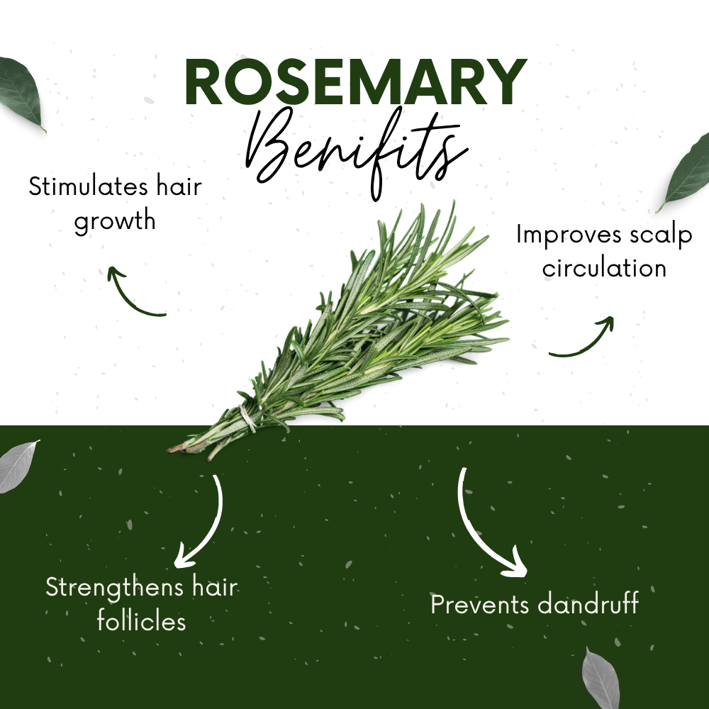 Vinamrit Rosemary Leaves | 100% Pure & Natural | Promotes Hair Growth, Strength & Scalp Health | 100g Pack | Ayurvedic Herbal Leaves for Strong & Healthy Hair