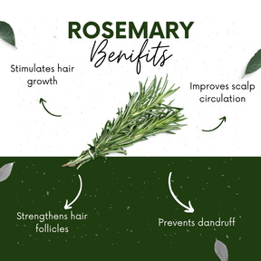 Vinamrit Rosemary Leaves | 100% Pure & Natural | Promotes Hair Growth, Strength & Scalp Health | 100g Pack | Ayurvedic Herbal Leaves for Strong & Healthy Hair