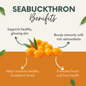 Vinamrit 100% Pure Sea Buckthorn Capsules | Omega 3, 6, 7 & 9 Rich | 60 Herbal Capsules for Daily Wellness