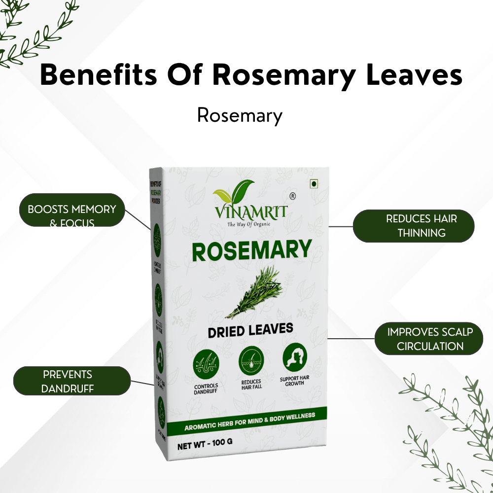 Vinamrit Rosemary Leaves | 100% Pure & Natural | Promotes Hair Growth, Strength & Scalp Health | 100g Pack | Ayurvedic Herbal Leaves for Strong & Healthy Hair