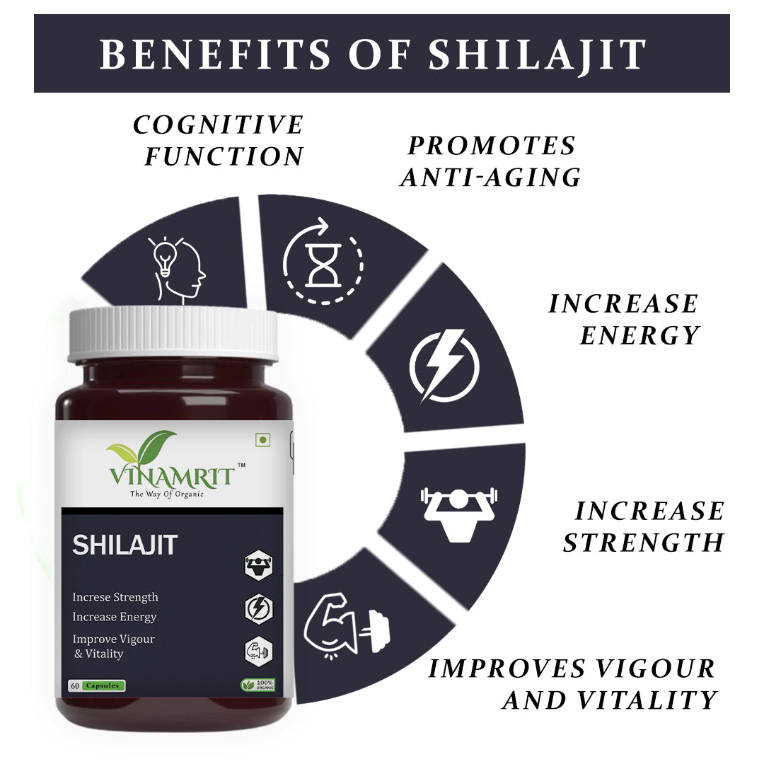 Vinamrit Shilajit 60 Capsules – Premium Ayurvedic Supplement for Men’s Wellness - VINAMRIT