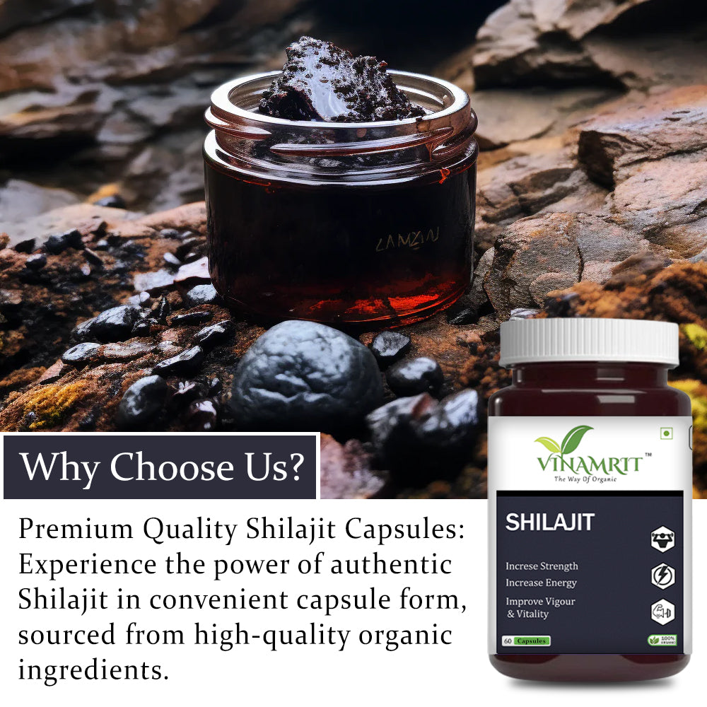 Vinamrit Shilajit 60 Capsules – Premium Ayurvedic Supplement for Men’s Wellness - VINAMRIT